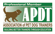 APDT logo